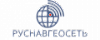 Руснавгеосеть